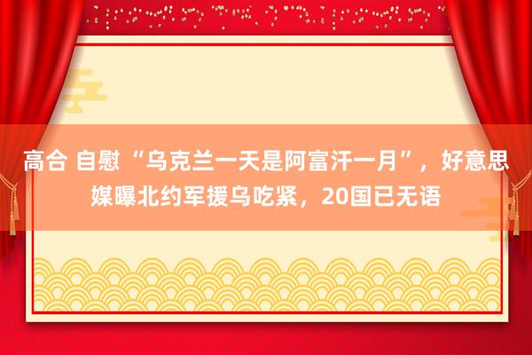 高合 自慰 “乌克兰一天是阿富汗一月”，好意思媒曝北约军援乌吃紧，20国已无语