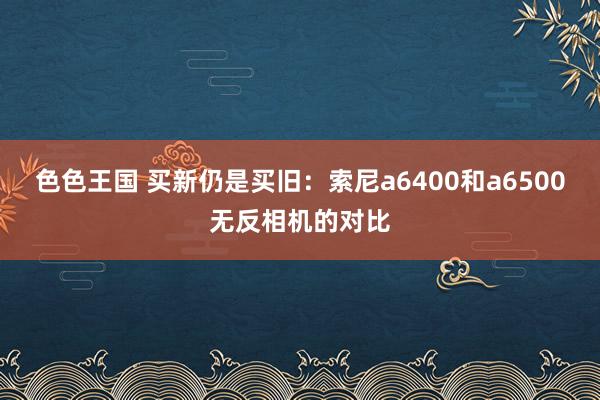 色色王国 买新仍是买旧：索尼a6400和a6500无反相机的对比